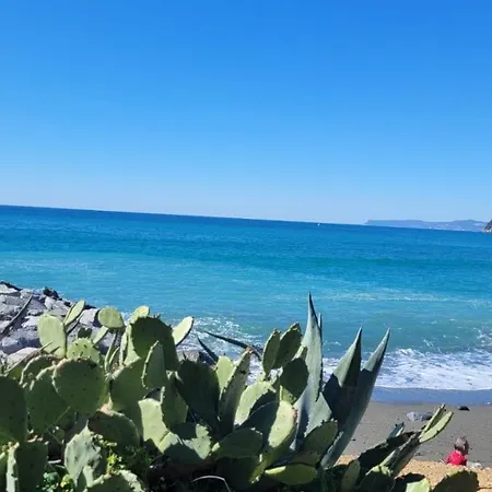 Cogobeach Vernazza #30mt Dal Mare#